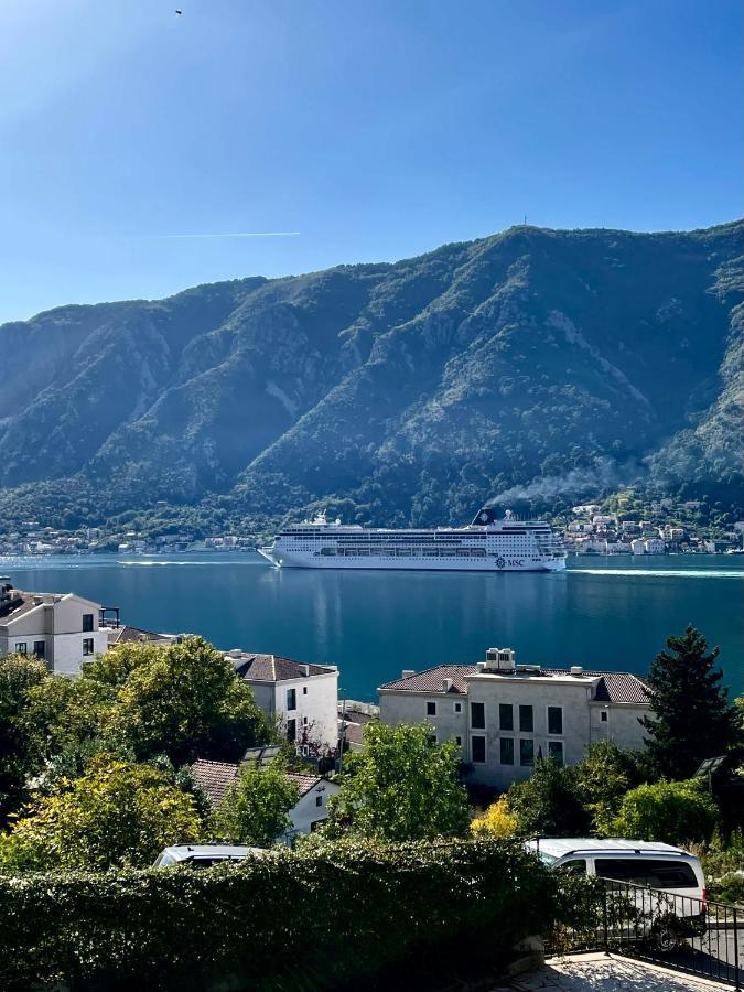 South Nest * Kotor